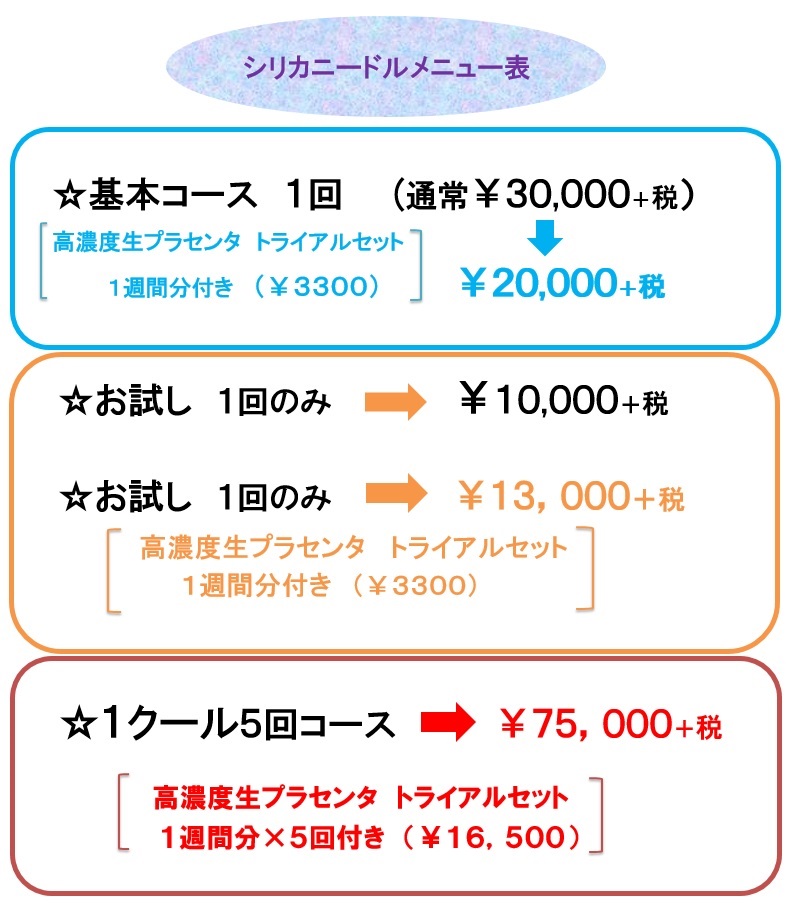 シリカニードル メニュー表