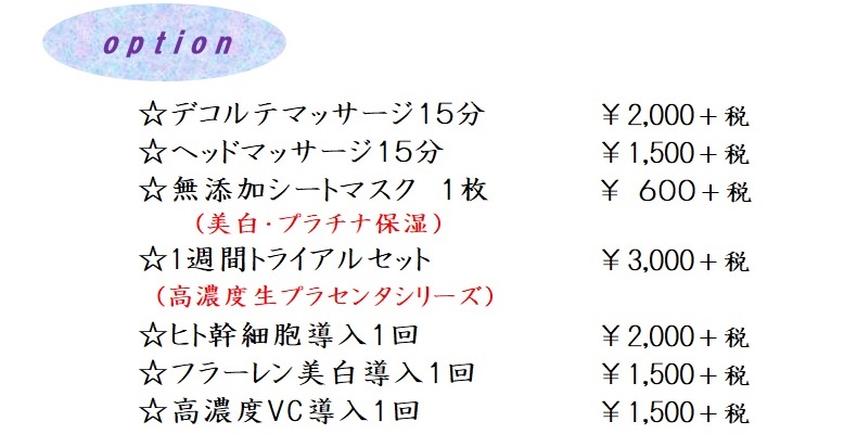 シリカニードル オプション