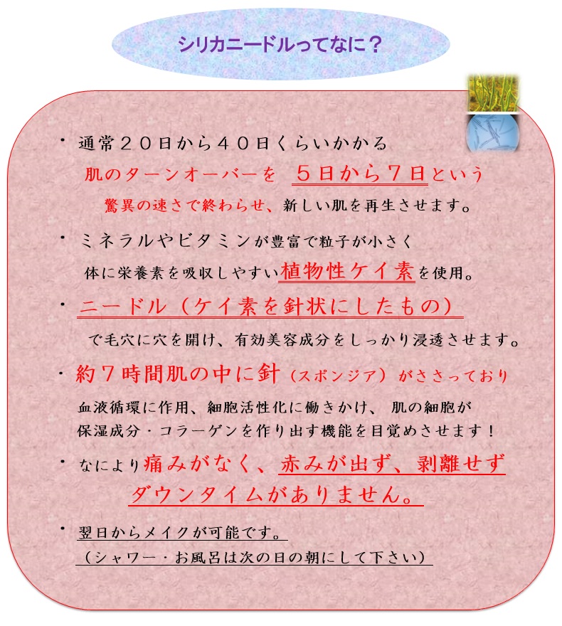 シリカニードルってなに？